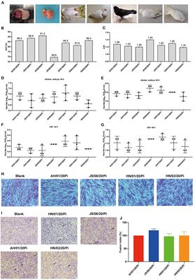 Biological Characterization and Evolutionary Dynamics of Pigeon Paramyxovirus Type 1 in China